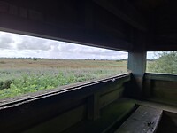 Vogelkijkhut Nederland