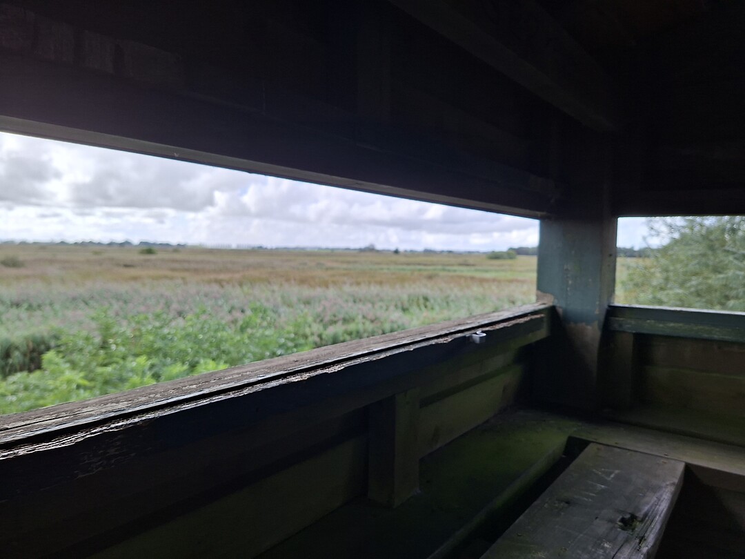 Vogelkijkhut Nederland