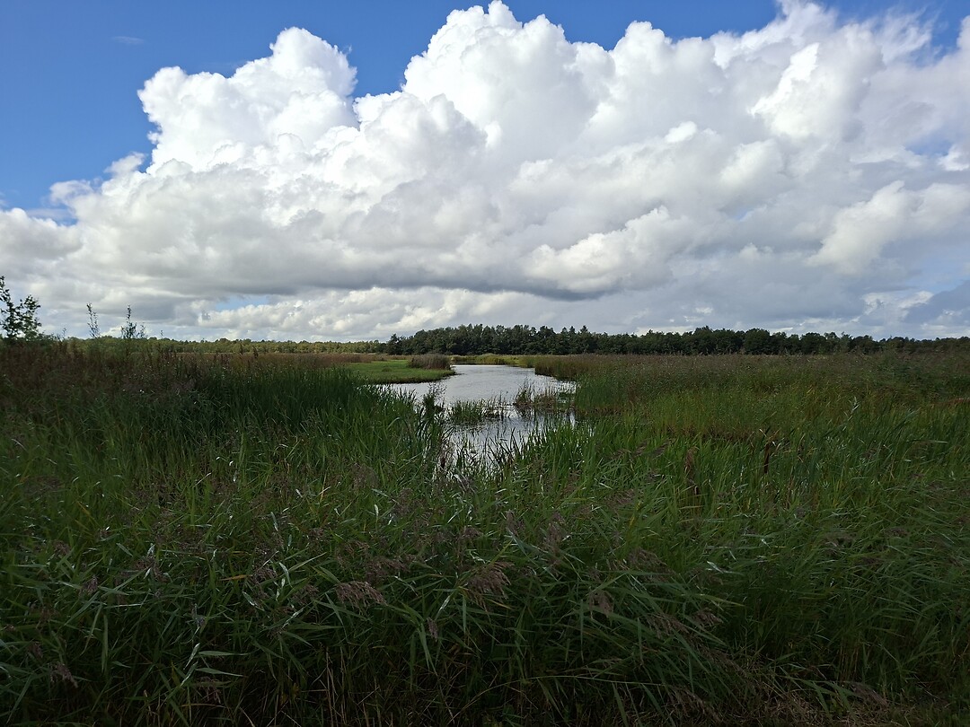 Weerribben