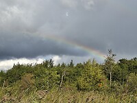 Regenboog Weerribben