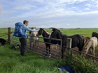 Corina met de paarden