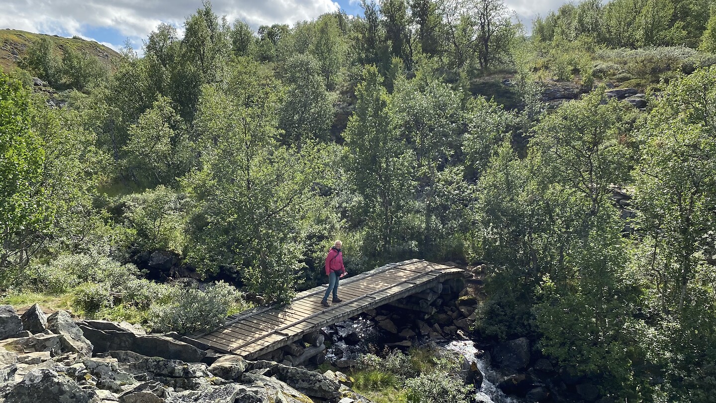 Onderweg op de trail
