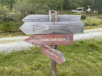 Welke kant gaan we op