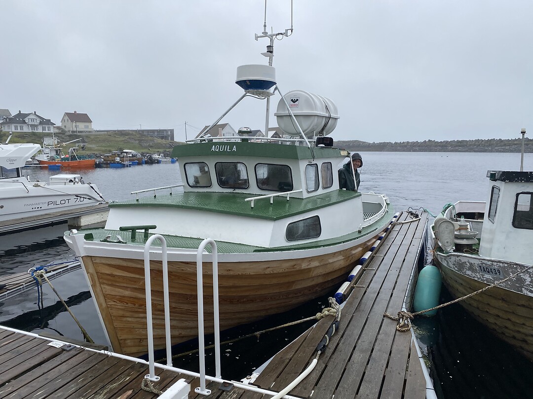 De boot Aquila