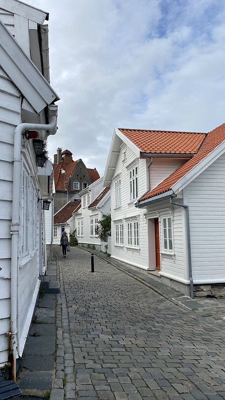 De witte huisjes