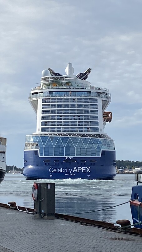 Het cruiseschip
