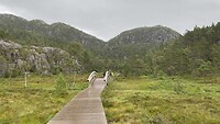 Krogebekkmyr
