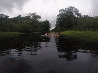 zwemmen