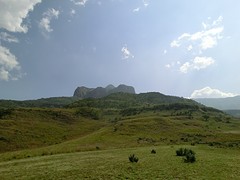 Omgeving