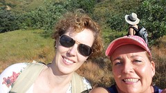 Selfienen