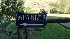 Op naar de stallen