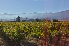 Door naar Swellendam