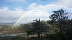 2017-01-20 08.10.33
