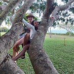 Apies