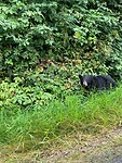 Echt best wel schattig 🐻