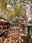 Free Walking Tour CPT