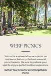 Picnic Boschendal