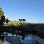 Mooi 🌴