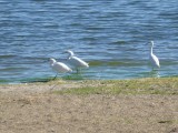 P1050587