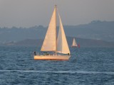P1050699
