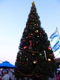 de kerstboom op Pier 39 staat al