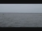 Muskegon Channel 3