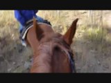 Paardrijden met Francien en echte cowboys