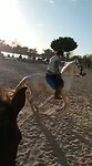 Rondje galop op het kerkplein in El Rocío.