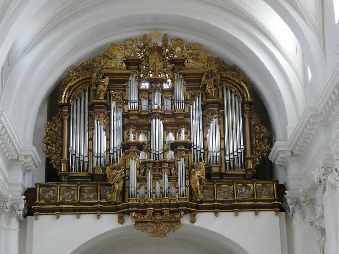 P1005038