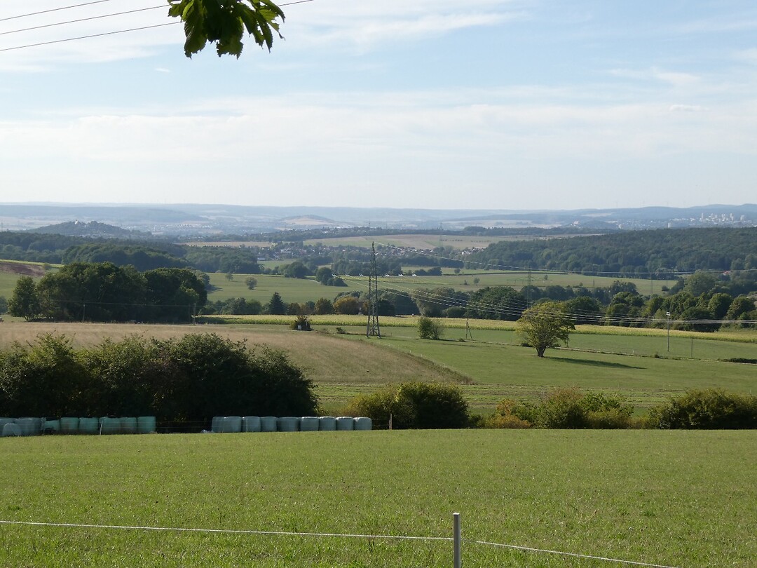 Uitzicht over de groene heuvels rond Fulda