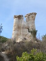 P1005547