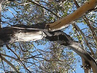 P1019820