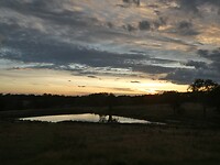 P1019833