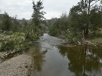 P1019842