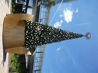 P1020025