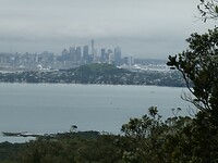 P1020154