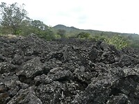 P1020158