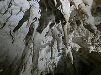 P1020594
