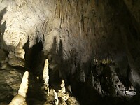 P1020615