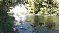 Aniwaniwa Falls 2