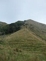 Verzakkende heuvels in heel NZ