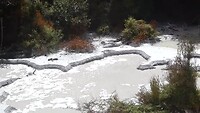 Mudpools in Orakei Korako Thermal Park