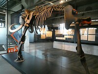 P1028478