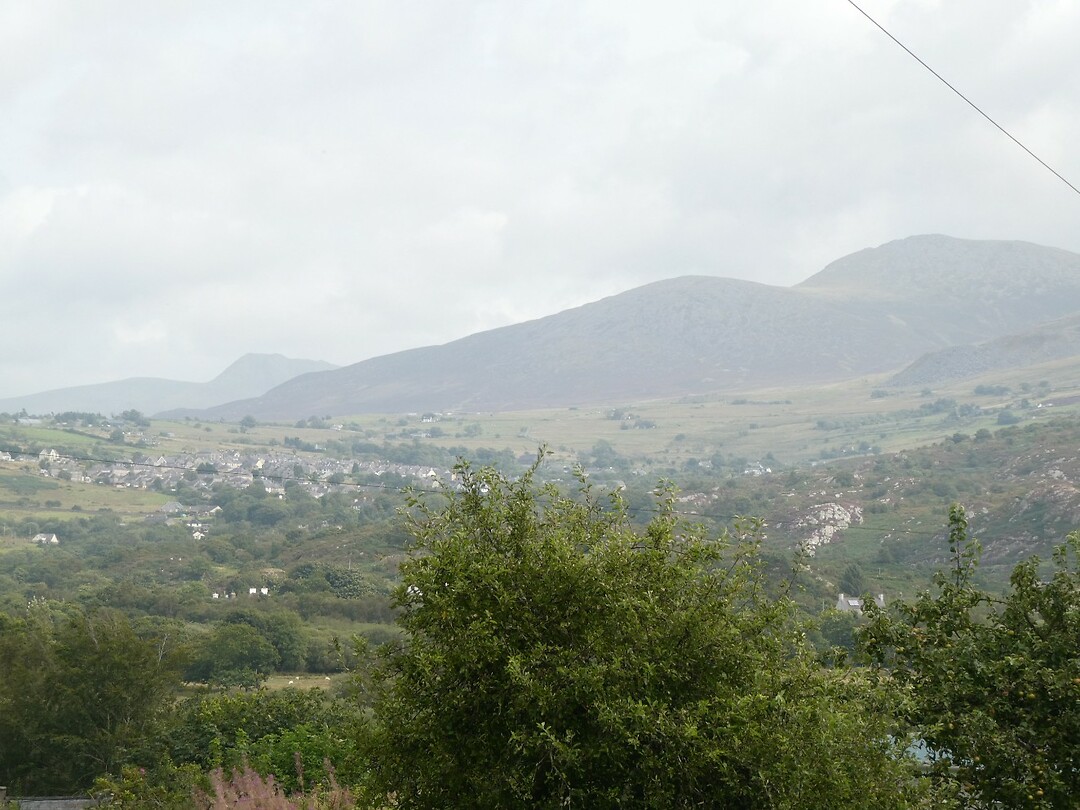 P1031022