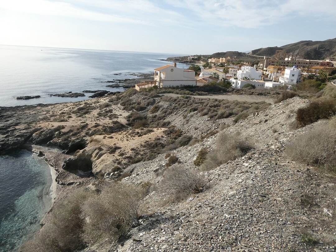 P1034902