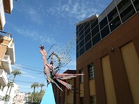 Kunst (pauw) in Aguilas