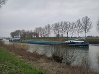 IMG_20250310_161717