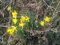 IMG_20250304_164100