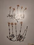 IMG_20250623_143403