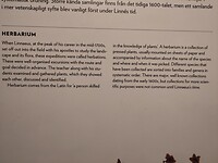 IMG_20250623_143354
